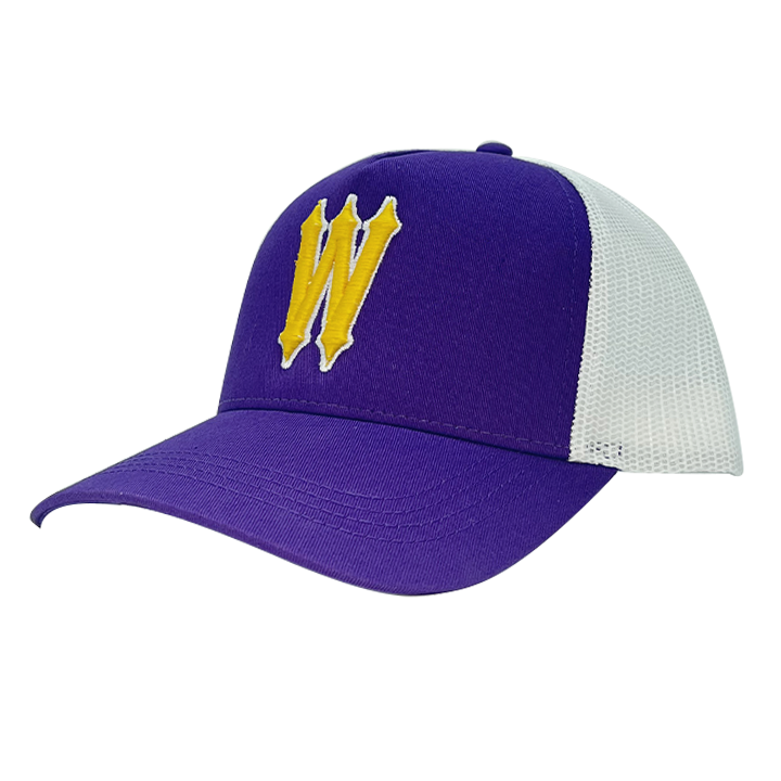 WVE CAP PURPLE YELLOW