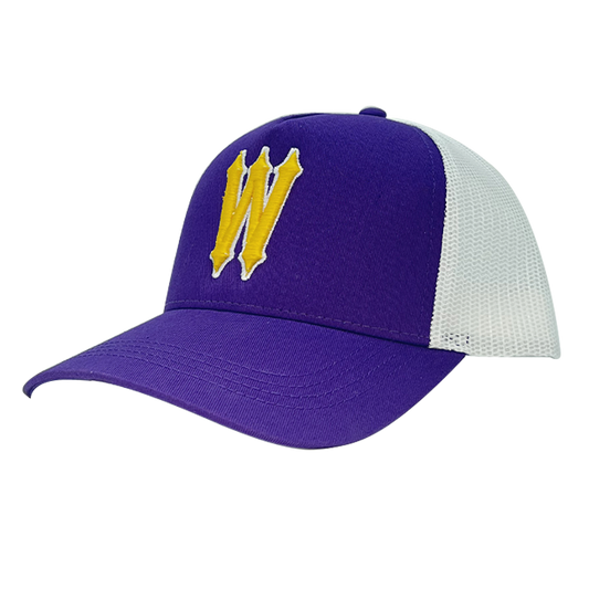WVE CAP PURPLE YELLOW